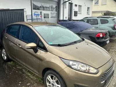 Używany Ford Fiesta Trend 60 KM (44 kW) 2014 Brązowy Hatchback
