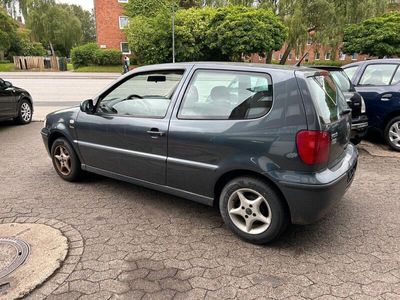 VW Polo
