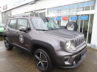Gebraucht Jeep Renegade Limited 179 PS (131 kW) 2019 Grau SUV