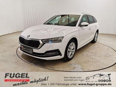 Gebraucht Skoda Octavia Style 116 PS (85 kW) 2023 Candyweiss Kombi