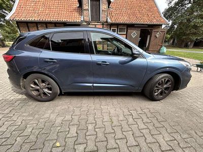Blau Gebraucht 2020 Ford Kuga ST-Line X SUV | 17.500 € (Fairer Preis)