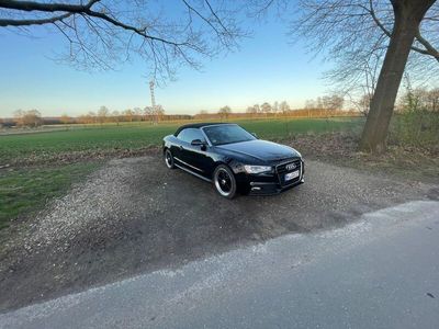 gebraucht Audi A5 Cabriolet 1.8 TFSI S-Line,Notverkauf