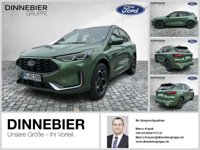 Neu Ford Kuga ST-Line X 179 PS (131 kW) 2026 Grün (metallic) SUV