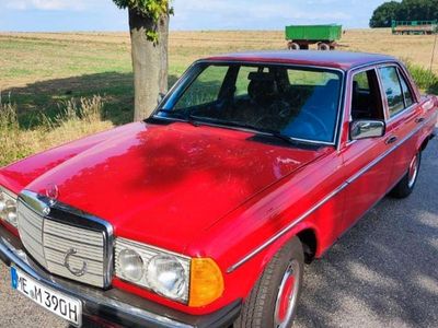 Rot Gebraucht 1979 Mercedes 200 Limousine | 14.850 €