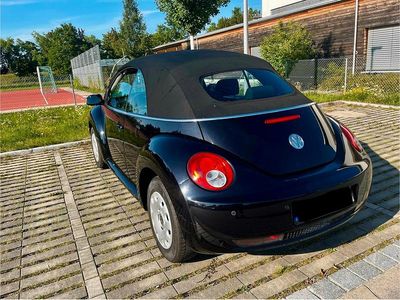VW Beetle