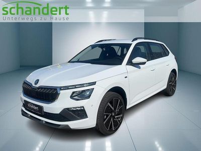 Graphitegrau metallic (grau) metallic Neu 2025 Skoda Kamiq Tour SUV | 29.950 € (Etwas zu teuer)