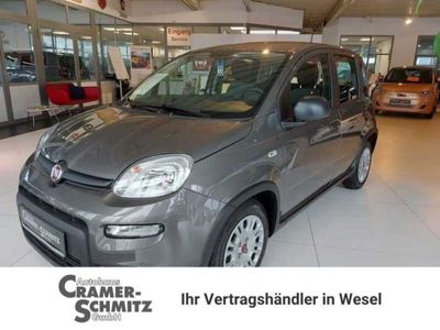 gebraucht Fiat Panda Panda