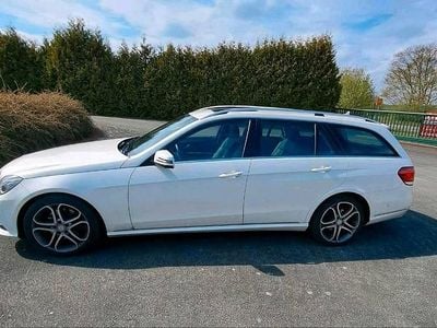 Gebraucht Mercedes E300 231 PS (169 kW) 2014 Weiß Kombi