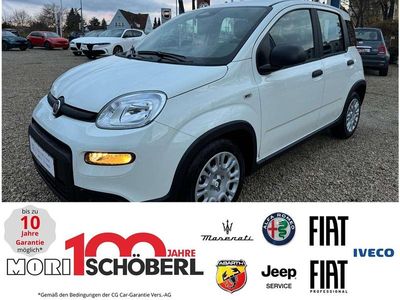 Gelato weiß Gebraucht 2025 Fiat Panda Kleinwagen | 14.990 € (Fairer Preis)
