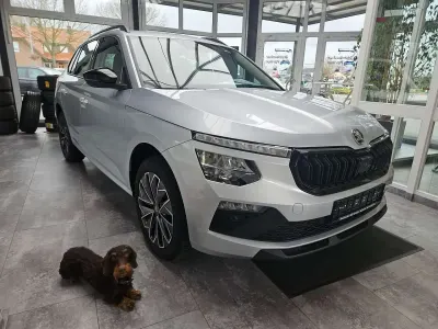 Gebraucht Skoda Kamiq Selection 116 PS (85 kW) 2025 Silber SUV