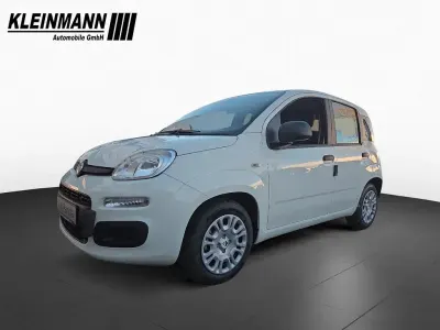 Neu Fiat Panda Icon 65 PS (47 kW) 2026 Weiß Kleinwagen