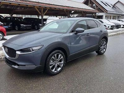 Neu Mazda CX-30 Exclusive-Line 186 PS (136 kW) 2026 Polymetal gray SUV