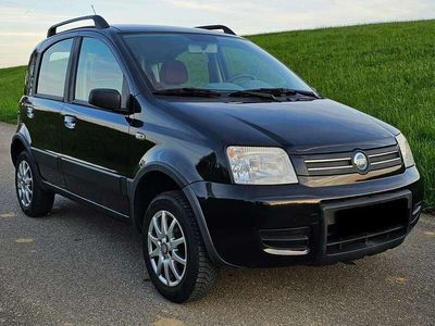 gebraucht Fiat Panda 4x4 1.2 8V Climbing