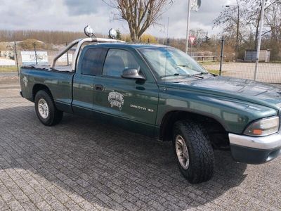 gebraucht Dodge Dakota 3,9 l LKW