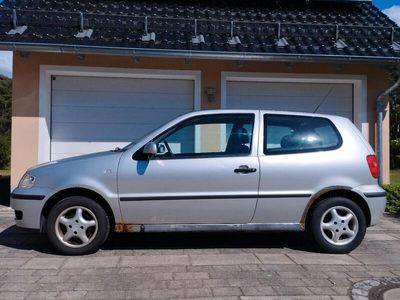VW Polo