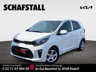 Gebraucht Kia Picanto Vision 67 PS (49 kW) 2024 Weiss ((ud) schneeweiss) Kleinwagen