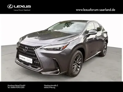 Neu Lexus NX450h+ Business Edition 292 PS (214 kW) 2026 Grau SUV