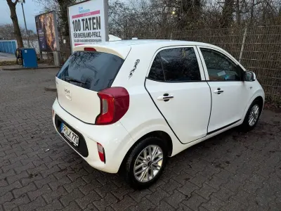 Brugt Kia Picanto Vision 67 HK (49 kW) 2024 Hvid Hatchback