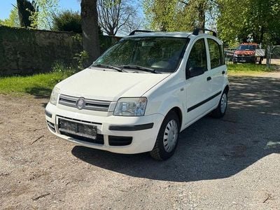 Usata Fiat Panda 60 CV (44 kW) 2009 Bianco Utilitaria