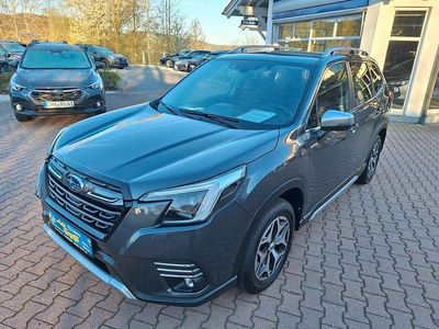 Usata Subaru Forester Comfort 150 CV (110 kW) 2024 Grigio SUV