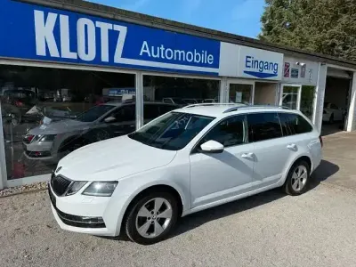 Gebraucht Skoda Octavia Style 116 PS (85 kW) 2019 Andere Kombi