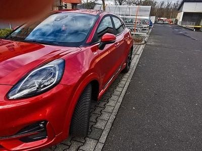 Gebraucht Ford Puma ST-Line 125 PS (91 kW) 2020 Rot SUV