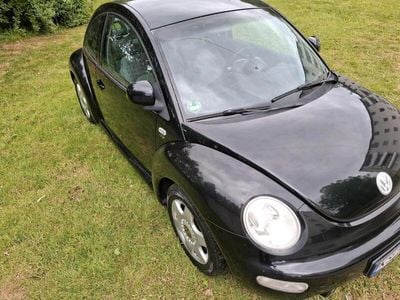 VW Beetle