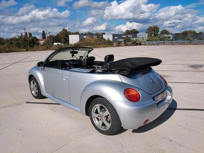 VW Beetle