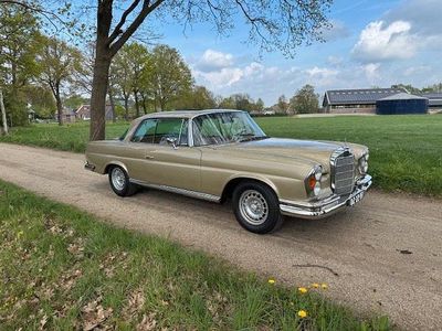 Gebraucht Mercedes 280 1969 Gold Coupé
