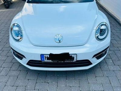 VW Beetle