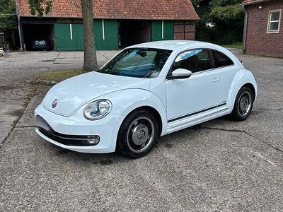 VW Beetle