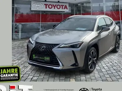 Gebraucht Lexus UX 250h 184 PS (135 kW) 2023 Silber SUV