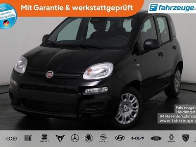 Neu Fiat Panda 69 PS (50 kW) 2026 Schwarz Kleinwagen