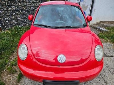 VW Beetle