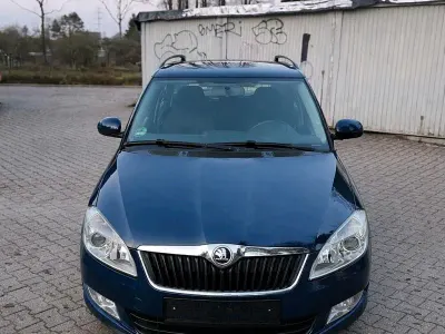 Brugt Skoda Fabia