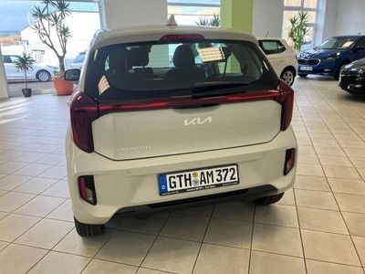 Usata Kia Picanto Vision 63 CV (46 kW) 2024 Beige Utilitaria