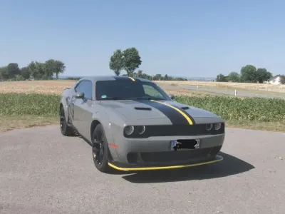 Gebraucht Dodge Challenger SXT 309 PS (227 kW) 2017 Coupé