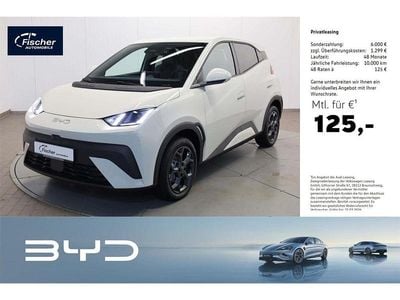 Neu BYD Dolphin Surf Comfort 114 kW (156 PS) 2026 Weiß Kleinwagen