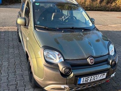 Gebraucht Fiat Panda Cross Cross 69 PS (50 kW) 2019 Grün Kleinwagen