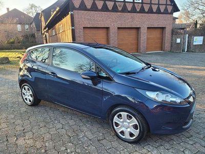 Blazerblau Gebraucht 2008 Ford Fiesta Trend Kleinwagen | 3.000 € (Teuer)