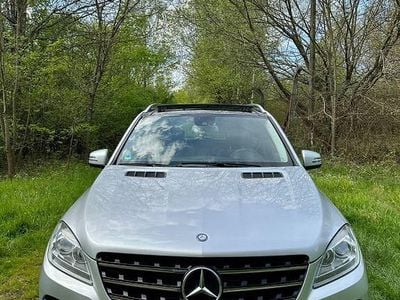 Mercedes ML250