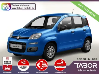 Brugt Fiat Panda