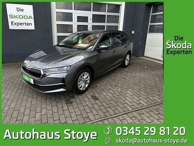 Usata Skoda Octavia Selection 150 CV (110 kW) 2025 Grigio Station wagon