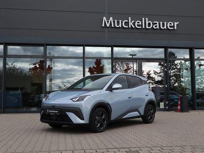 Neu BYD Dolphin Surf Comfort 114 kW (156 PS) 2025 Ice blue Kleinwagen