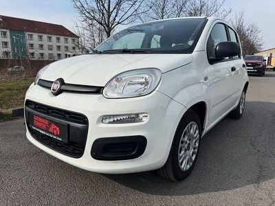 Gebraucht Fiat Panda Easy 69 PS (50 kW) 2020 Weiß Kleinwagen