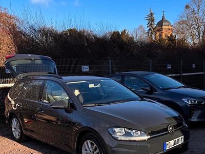 Grau Gebraucht 2019 VW Golf VII Kombi | 16.995 € (Fairer Preis)