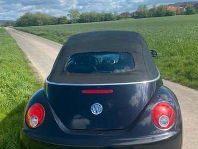 VW Beetle