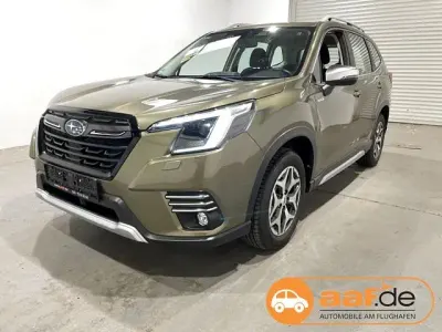 Gebraucht Subaru Forester