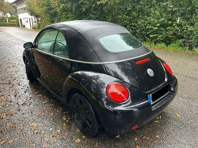 VW Beetle