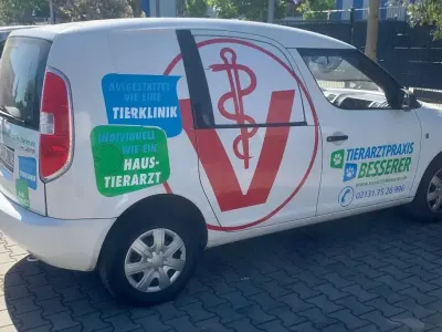 Second-hand Skoda Roomster 69 CP (50 kW) 2012 Alb Monovolum